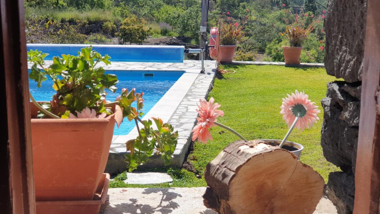 Climatized Pool Free Wifi Casa Rural Las Pareditas Тихарафе Экстерьер фото
